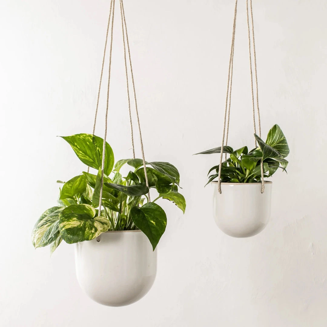 Convivial New Arrivals Arched Stoneware Hanging Planter