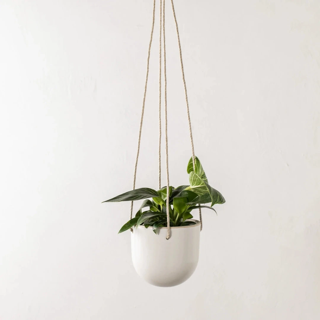 Convivial New Arrivals Arched Stoneware Hanging Planter