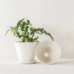 Convivial Ivory Porcelain Planter