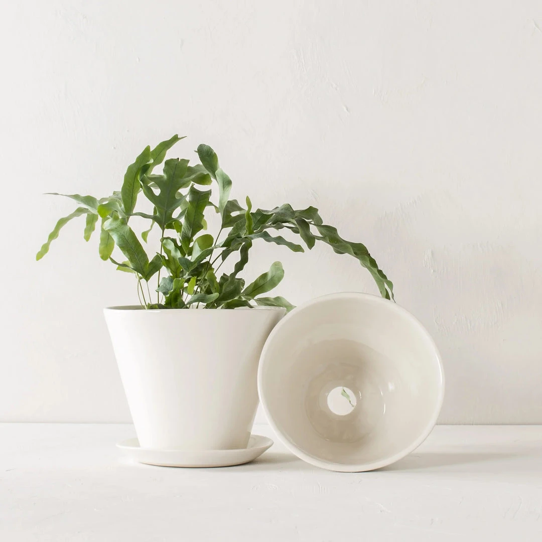 Convivial Ivory Porcelain Planter 4 Convivial Ivory Porcelain Planter