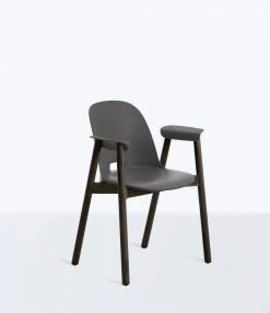 Emeco Furniture Alfi Recycled Armchair - Dark Ash