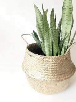 Amante Marketplace Kophinos Basket - Gold