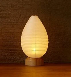 Ameico Best Sellers Washi LED Lantern - Seed