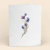 Cute Root Greeting Cards Assorted Botanical Plantable Cards - 8 Pack