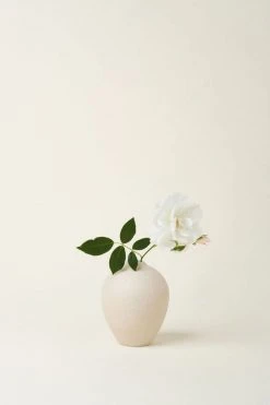 August Sage Sofia Oval Bud Vase - Tierra Home Goods