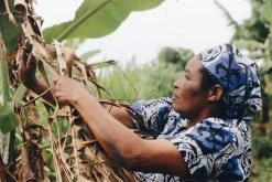 Azizi Life Parker Banana Leaf Trays