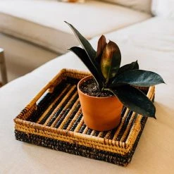 Azizi Life Parker Banana Leaf Trays