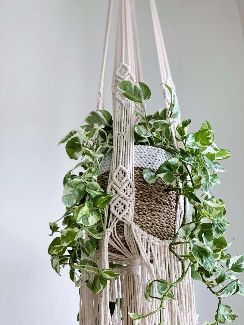 Ceremonia Large Darling Macramé Plant Hanger Best Sellers 4 Ceremonia Large Darling Macramé Plant Hanger Best Sellers