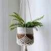 Ceremonia Darling Macramé Plant Hanger - Cream Best Sellers 1 Ceremonia Darling Macramé Plant Hanger - Cream Best Sellers