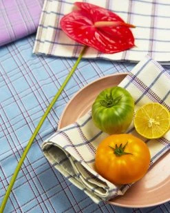 Archive New York Chiapas Plaid Table Runner