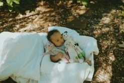 Pebble Baby Gifts Cow Rattle