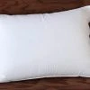 Coyuchi Feather/Down Pillow