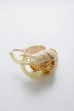 Abby Alley Jewelry Dawson Earrings