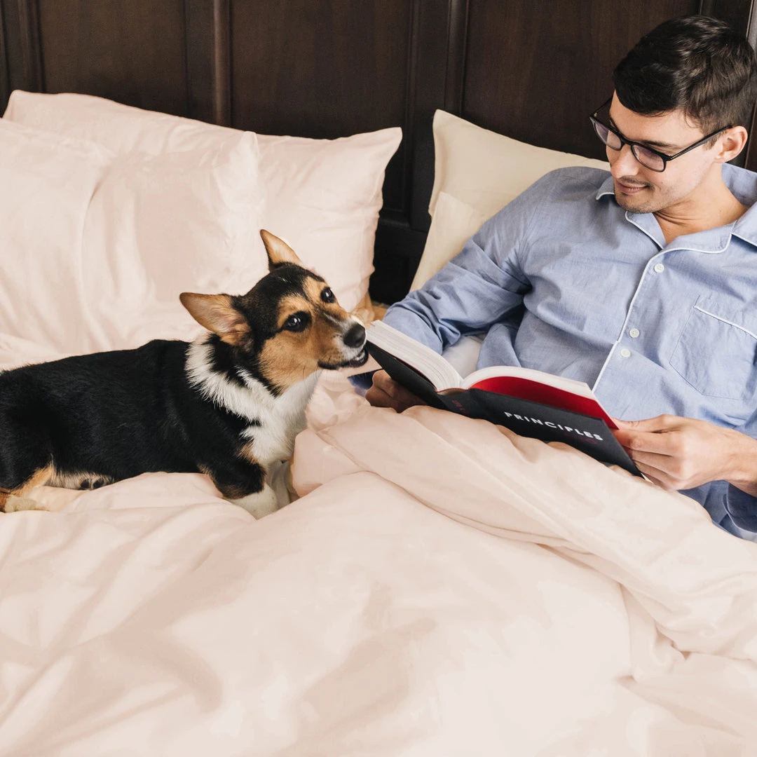 Eucalypso Deluxe Tencel Eucalyptus Sleep Bundle 9 Eucalypso Deluxe Tencel Eucalyptus Sleep Bundle