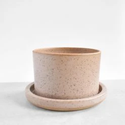 Katie Mudd Desert Dust Stoneware Planter Set Best Sellers