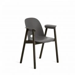 Emeco Furniture Alfi Recycled Armchair - Dark Ash