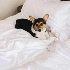 Eucalypso Deluxe Tencel Eucalyptus Sleep Bundle 31 Eucalypso Deluxe Tencel Eucalyptus Sleep Bundle