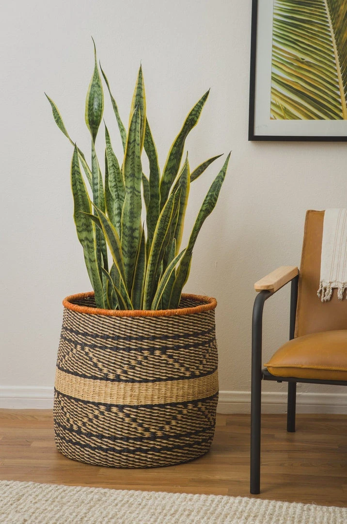 KAZI Extra Large Mwiba Grass Planter Home Goods 3 KAZI Extra Large Mwiba Grass Planter Home Goods