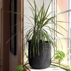 Mbare Best Sellers Iringa Baskets - Rich Black