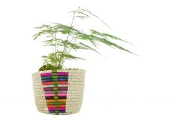 KAZI Chromatic Tapered Planter Basket