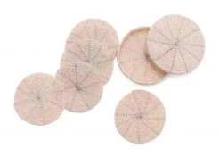 KAZI Beaded Soft Pink + Pearl Coasters