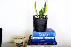 KAZI Home Goods Chromatic Lidded Box