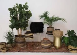 KAZI Striped Black Grass Pot