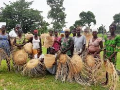 KAZI All Natural Teal Gourd Birdhouse 7 KAZI All Natural Teal Gourd Birdhouse