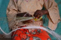 KAZI Tiny Floret Dashed Catch All