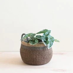 LIKHÂ Brown Tabletop Bulge Basket With Handles Home Goods