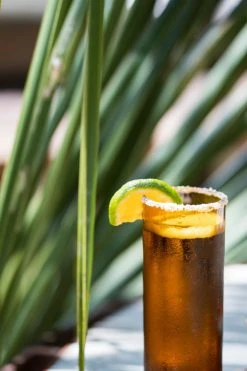 Magda Made Kitchen + Dining Tall Recycled Glass Set