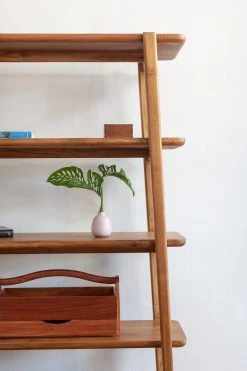 Masaya & Co. Apanas Bookshelf Furniture