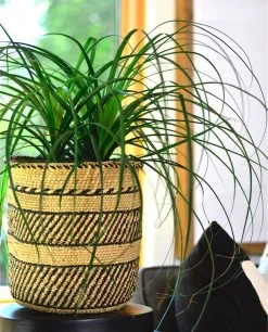Mbare Best Sellers Iringa Baskets - Black Stripe
