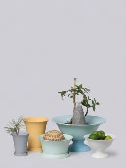 Middle Kingdom Planters + Vases Footed Porcelain Vase - Denim