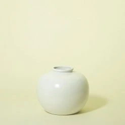 Middle Kingdom Home Goods Glossy Jade Ring Porcelain Vase