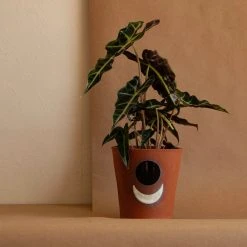 Anne Gates Studio Moon Ceramic Planter