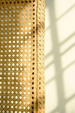 Amara Rattan Partition Home Goods