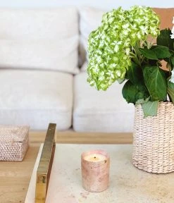 Rose & Fitzgerald Best Sellers Soapstone Candle - Guava + Mediterranean Fig