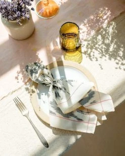 Soil To Studio Ruhi Ikat Napkin Set