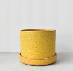 Katie Mudd Best Sellers Simple Dandelion Stoneware Planter Set