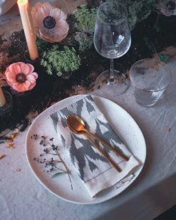 Soil To Studio Ruhi Ikat Napkin Set