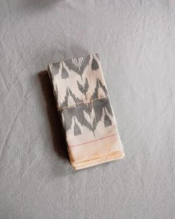 Soil To Studio Ruhi Ikat Napkin Set