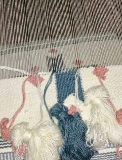 Casa Amarosa Star Cross Wool Throw Pillow Cover Home Goods