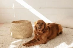 Territory Design Jarrito Large Basket 10 Territory Design Jarrito Large Basket