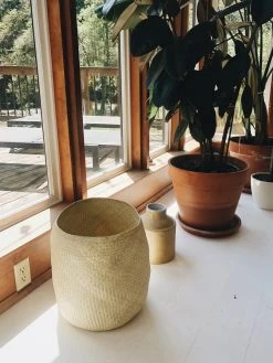 Territory Design Mixta Palm Basket Home Goods