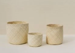 Territory Design Mixta Palm Basket Home Goods