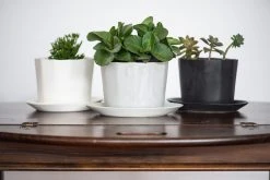 The Bright Angle Home Goods Native Porcelain Planter - Mica Black