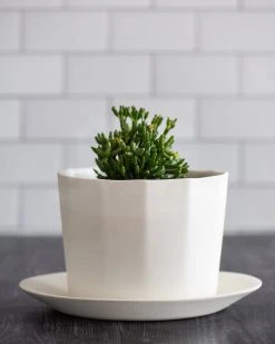 The Bright Angle Home Goods Native Porcelain Planter - Rosemary Green