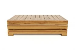Masaya & Co. Furniture Tola Outdoor Coffee Table