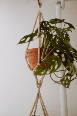 Village Thrive Wood Beaded Plant Hangers Home Goods 11 Village Thrive Wood Beaded Plant Hangers Home Goods